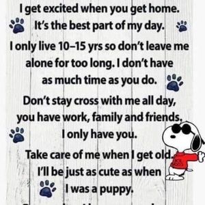 Meet your Posher, Todd